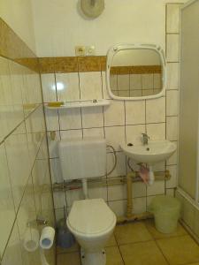 伊沃尼奇-兹德鲁伊Maxim Pokoje Gościnne的一间带卫生间和水槽的小浴室