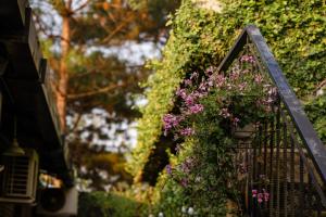 保禄Maysa Villa的挂在房子旁的装满紫色花的挂篮