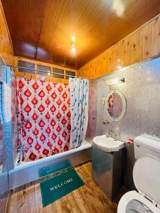 斯利那加Houseboat Newworld and transportation的浴室配有卫生间、淋浴和盥洗盆。