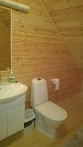 ÕrsavaPeko Holiday Home的一间带卫生间和水槽的浴室