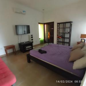 罗威那Lovina Villa Cinta的一间卧室配有一张床和一台平面电视