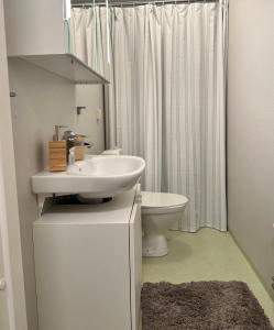 瓦斯泰纳Tummens B & B的白色的浴室设有水槽和卫生间。