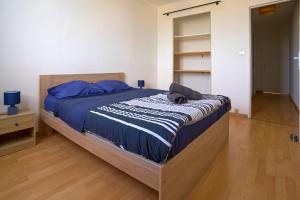 阿维尼翁Appartement Cosy proche Gare TGV et Centre ville.的一间卧室配有一张带蓝色枕头的大床