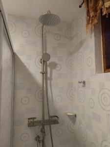 莫阿尔博阿Michael's Apartment的浴室设有淋浴和一个带漩涡的墙壁