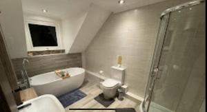 托基Halekulani Devon Homestay的带浴缸、卫生间和淋浴的浴室。