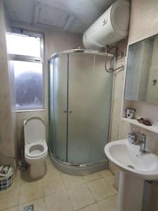 亚的斯亚贝巴BEST7 two bedroom apt in UN Kazanchis area的带淋浴、卫生间和盥洗盆的浴室