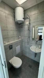 斯玛杰克托莱塞Simba Apartment A的一间带卫生间和水槽的浴室