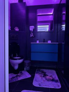 布加勒斯特Relax Regim Apartament的紫色浴室设有卫生间和水槽