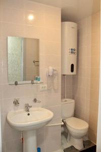 巴甫洛达尔гостиница Павлодар的一间带水槽、卫生间和镜子的浴室