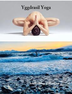 StraumsbuktaYggdrasil Farmhotel Retreat, Spa & Yoga的一张在海滩上做瑜伽的人的照片