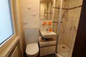 温特贝格松呐黒木膳食公寓酒店的浴室配有卫生间、淋浴和盥洗盆。