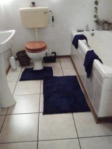 克兰威廉Biedouw Padstal & Toerisme的浴室配有卫生间、浴缸和水槽。