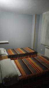 阿兰达德杜洛HOSTAL CEPA DE ORO的卧室配有两张床,地板上铺有地毯。