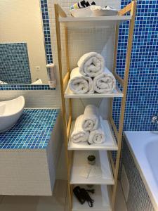 普雷代亚尔Forest Apart的浴室内提供架子毛巾