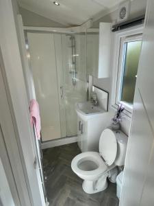 AskhamModern homely Chalet in Tuxford的白色的浴室设有卫生间和水槽。