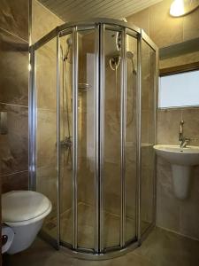 安塔利亚赫尔德酒店的带淋浴、卫生间和盥洗盆的浴室