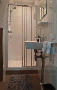 诺德克豪特诺德克豪特亨特瓦彭酒店的一间带水槽和淋浴的浴室