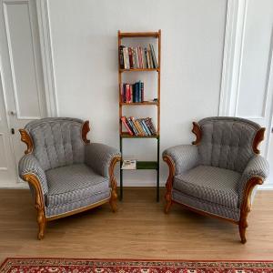 安塔利亚赫尔德酒店的客厅设有两把椅子和书架