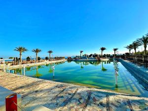 赫尔格达Davinci Beach Hotel的棕榈树和椅子的大型水池