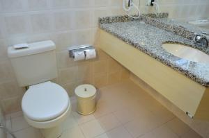里奥格兰德大西洋里奥格兰德酒店的一间带卫生间和水槽的浴室