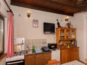Donja StubicaSan Vinogradara的厨房配有白色冰箱和炉灶。