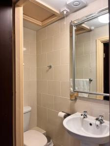 利物浦比奇格罗夫山套房酒店的一间带水槽、卫生间和镜子的浴室