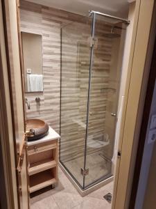 特尔斐匹托酒店的浴室里设有玻璃门淋浴