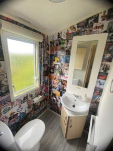 坎伯利MP39 Parkdean Camber Sands的一间带卫生间、水槽和镜子的浴室