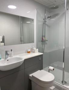 Sudbury博尔斯角酒店的浴室配有卫生间、盥洗盆和淋浴。