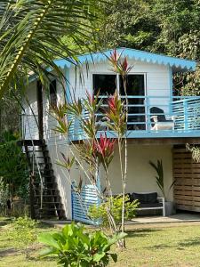 博卡斯德尔托罗Dolphin Blue Paradise的棕榈树的蓝色和白色房子