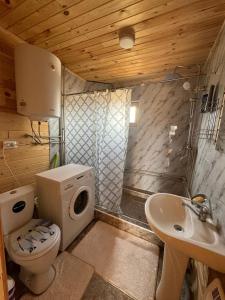 WooD_House_Issyk-Kul的一间浴室