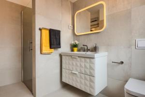 普拉Apartments DREAM IN ARENA 1 Pula Center FREE PARKING的一间带水槽和镜子的浴室