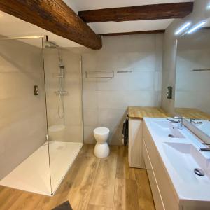 凯泽贝尔Gîte Du XVe的带淋浴、盥洗盆和卫生间的浴室