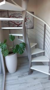 马洛塔piccolo chalet的白色锅里种植植物的楼梯