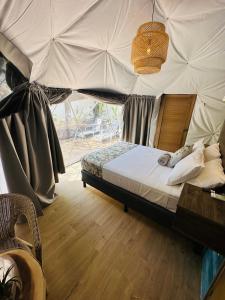 奥科塔尔Glamping Tortuga Verde的一间卧室设有一张带天花板的大床