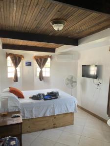 库尔克岛JAGUAR MORNING STAR的卧室配有一张床,墙上配有电视。