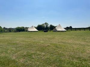 HorspathBell Tent的两个帐篷在有栅栏的田野里