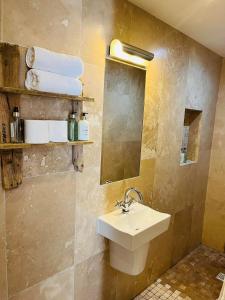 惠特比惠特比阿博特斯雷旅馆的浴室配有盥洗盆、镜子和毛巾