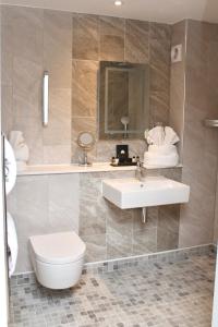 尚克林The Fig Tree Hotel的一间带水槽、卫生间和镜子的浴室