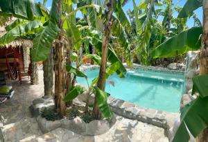 GuilletMabrika Resort Dominica的花园中的游泳池,花园中种有一束树木