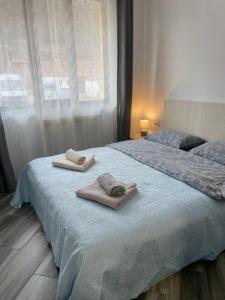沃利乌格乡La Turcu的卧室配有带2条毛巾的窗户,位于床上