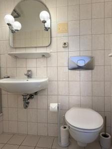 梅拉内Hotel zur Eiche的一间带卫生间、水槽和镜子的浴室