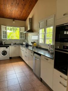 DucosVilla Elise的厨房配有白色橱柜、洗衣机和烘干机