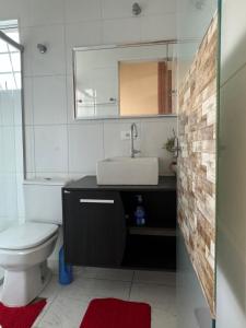 圣保罗Hostel Tia Ana的一间带水槽、卫生间和镜子的浴室