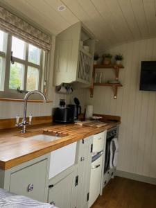 波士顿Woodpecker Shepherds Hut的厨房配有水槽和台面