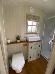 波士顿Woodpecker Shepherds Hut的浴室配有卫生间、盥洗盆和淋浴。