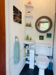 Praze an BeebleTyluna Cornish Cabin的一间带卫生间和水槽的小浴室