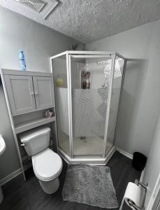 奥沙瓦Elegant Private Room的一间带卫生间和淋浴的小浴室