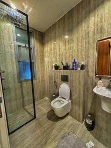 利雅德Master room with private bathroom share entrance的浴室配有卫生间、淋浴和盥洗盆。
