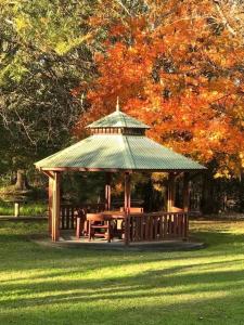 DenmanDenman Van Village的公园内带野餐桌的凉亭
